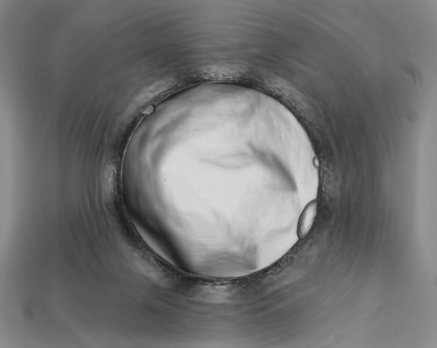 X0000112720071200909101455