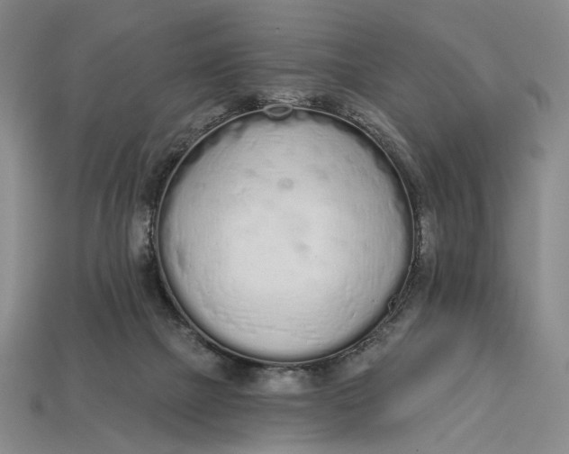 X0000112720073200909101455