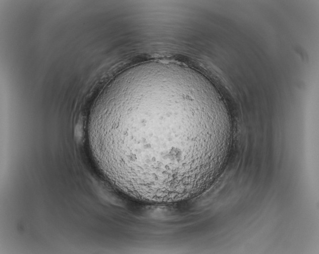 X0000112720074200909101455