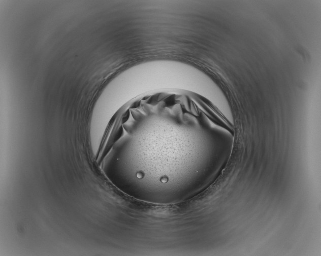 X0000112720076200909101455