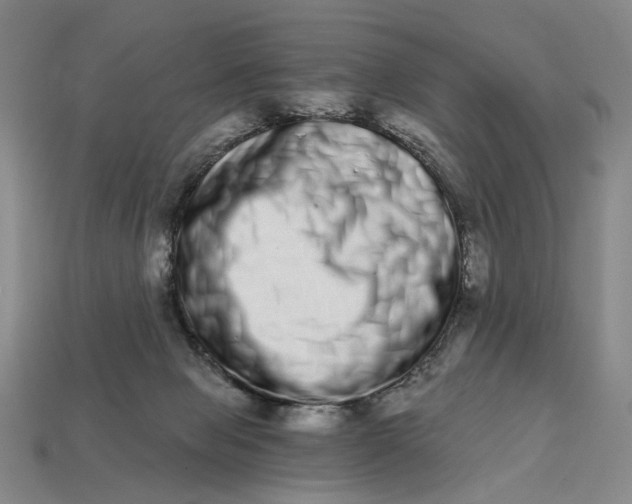 X0000112720077200909101456