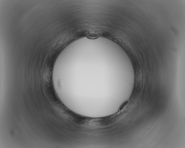 X0000112720078200909101456