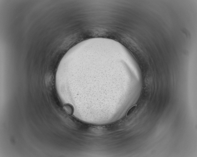 X0000112720079200909101456