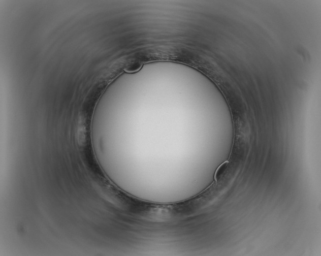 X0000112720080200909101456