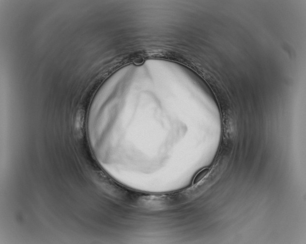 X0000112720082200909101456