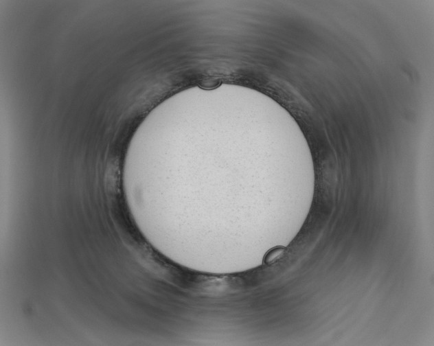 X0000112720083200909101456