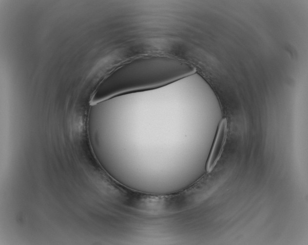 X0000112720084200909101456