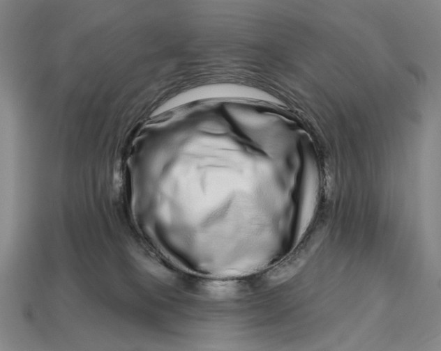 X0000112720085200909101456