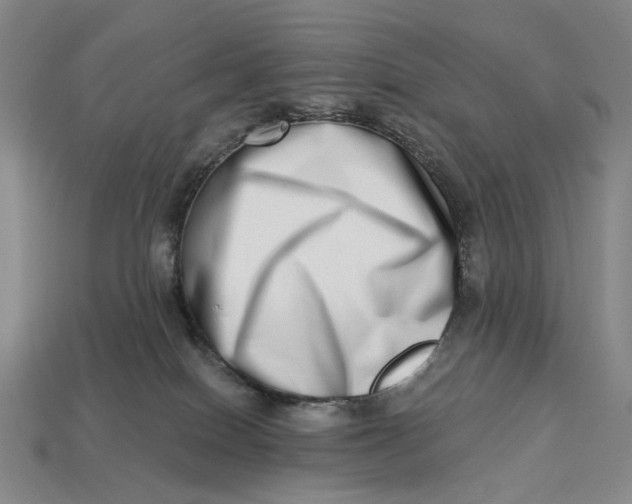 X0000112720086200909101456