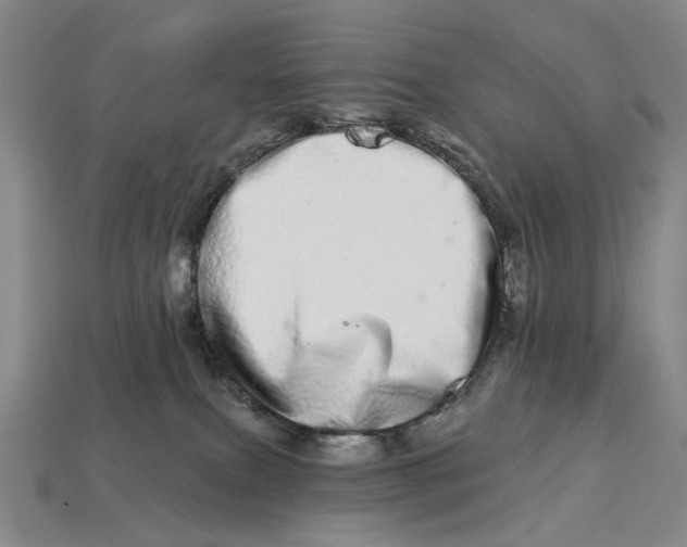 X0000112720087200909101456