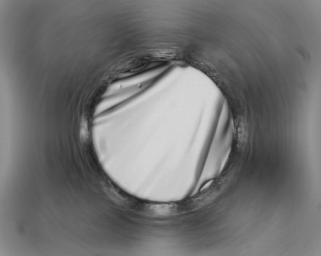 X0000112720089200909101456