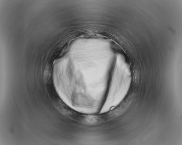 X0000112720091200909101456