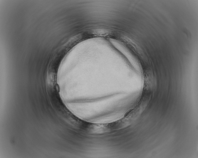 X0000112720093200909101456