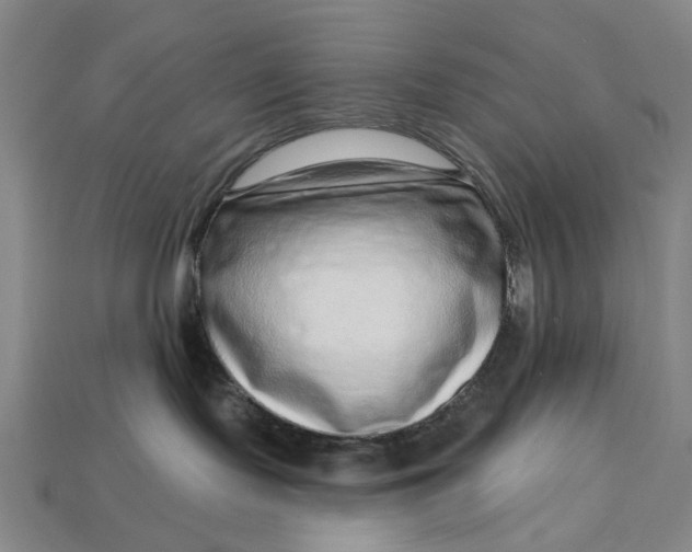 X0000112720095200909101456