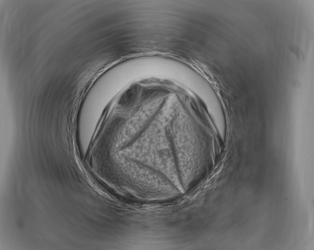 X0000112720097200909101455