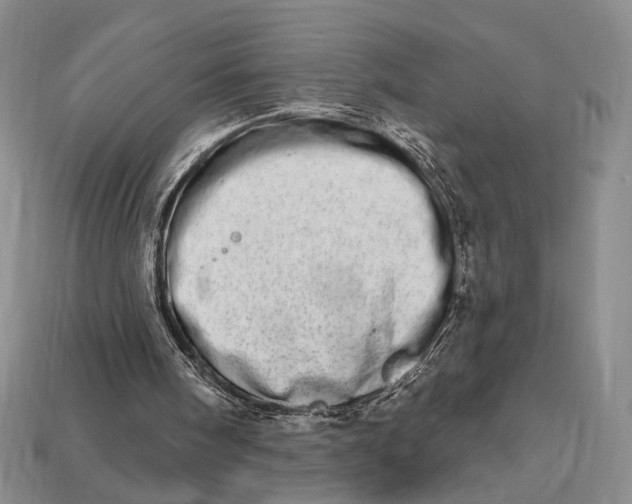 X0000112720098200909101455