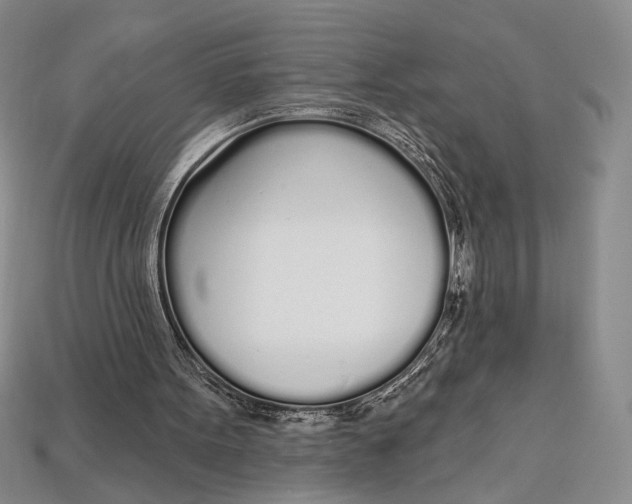 X0000112720099200909101455