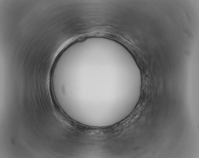 X0000112720100200909101455