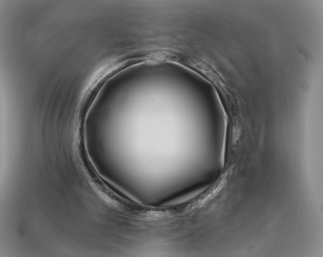 X0000112720101200909101455