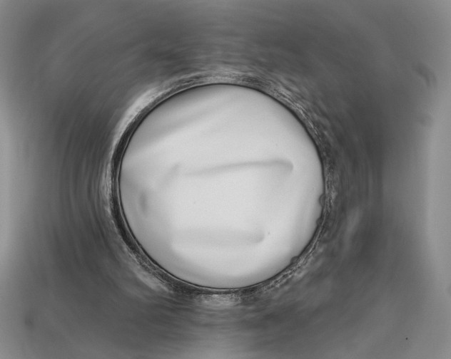 X0000112720102200909101455