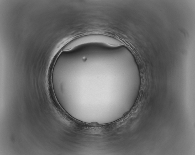 X0000112720104200909101455