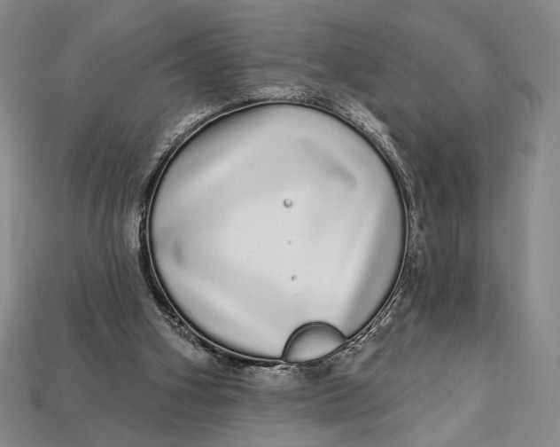 X0000112720106200909101455