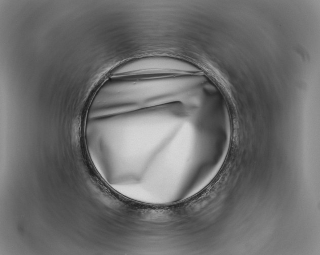 X0000112720107200909101455