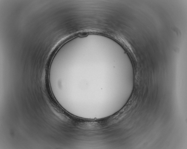 X0000112720108200909101455