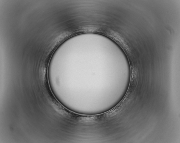 X0000112720110200909101455