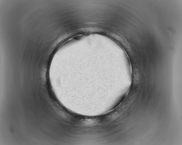 X0000112720111200909101455