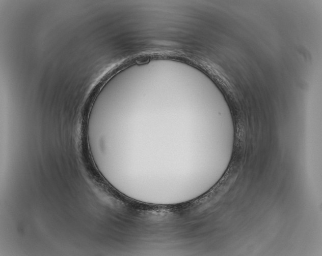 X0000112720112200909101455