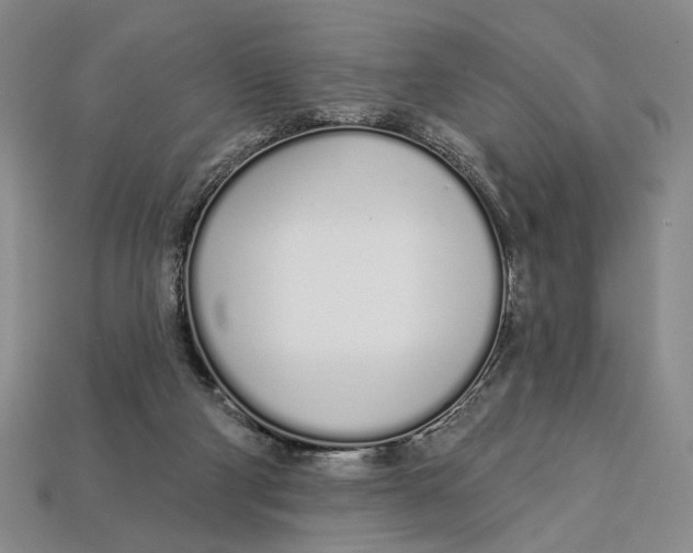 X0000112720114200909101455