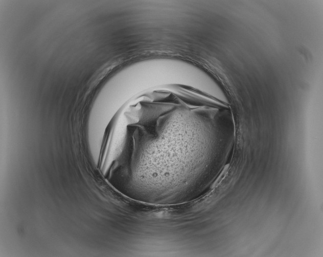 X0000112720116200909101455