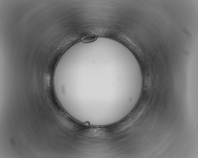 X0000112720117200909101455