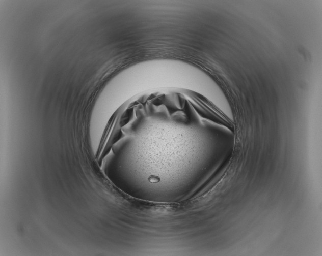 X0000112720124200909101455