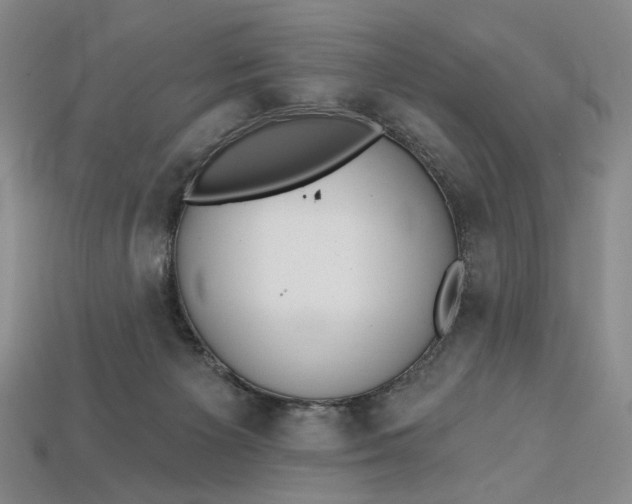 X0000112720125200909101455