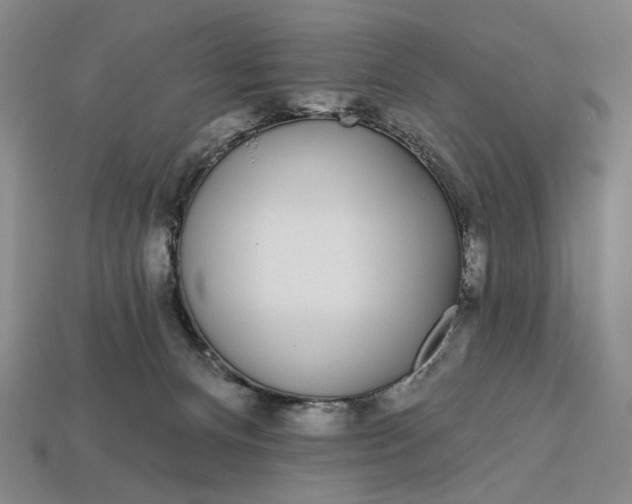 X0000112720128200909101455