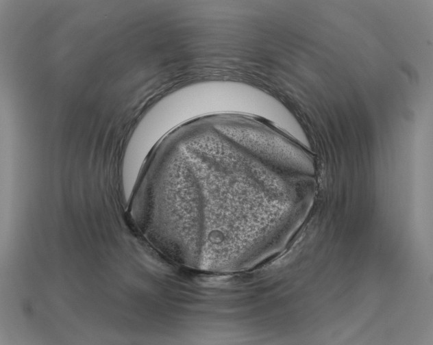 X0000112720132200909101455