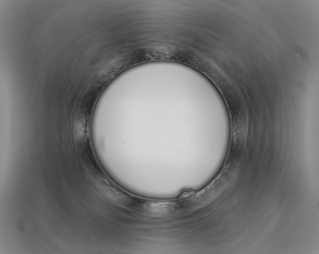 X0000112720134200909101455