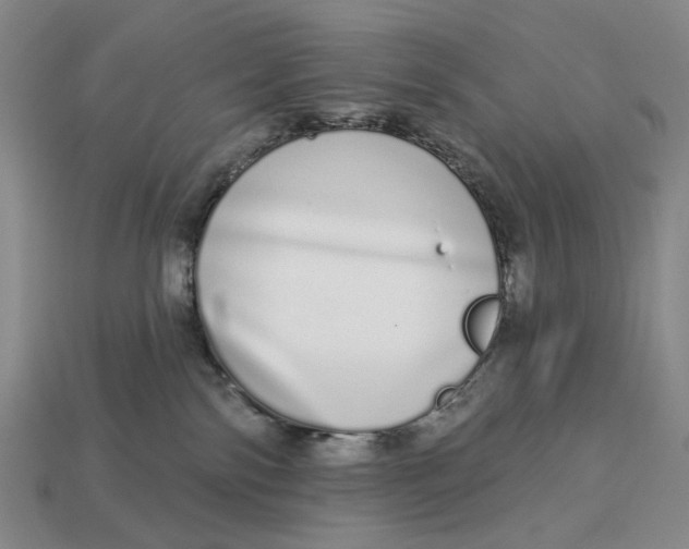 X0000112720138200909101455