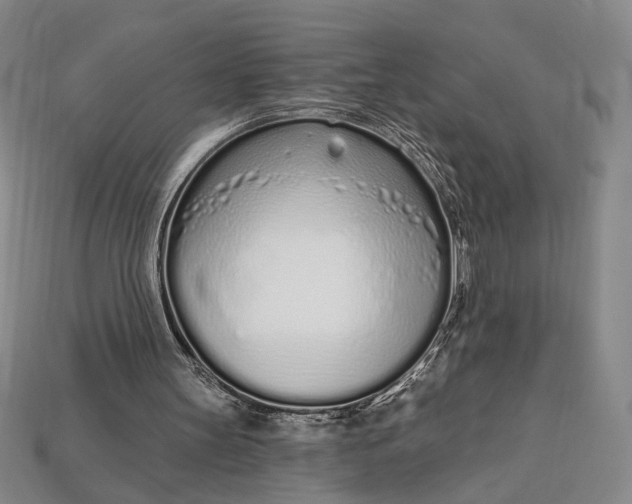 X0000112720147200909101454