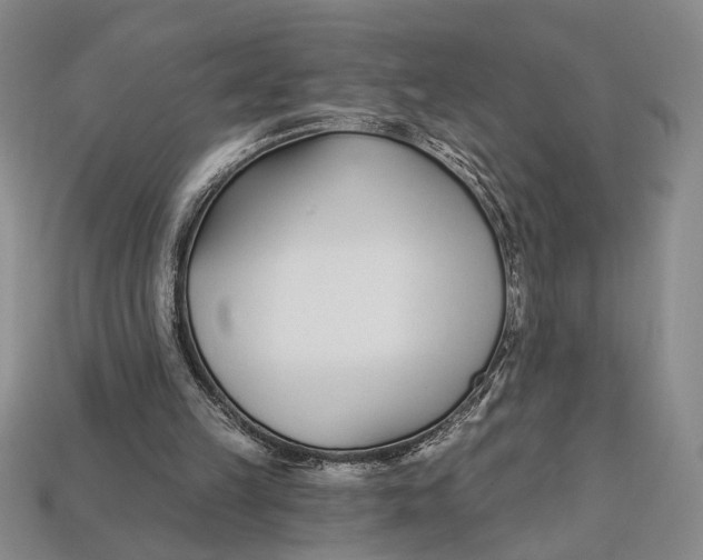 X0000112720149200909101454