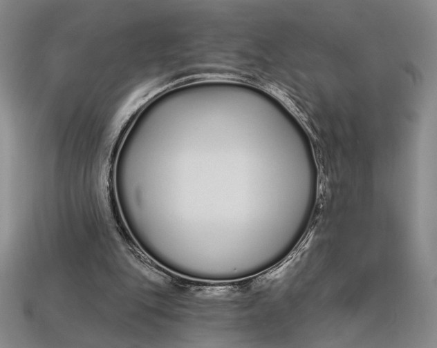 X0000112720151200909101454