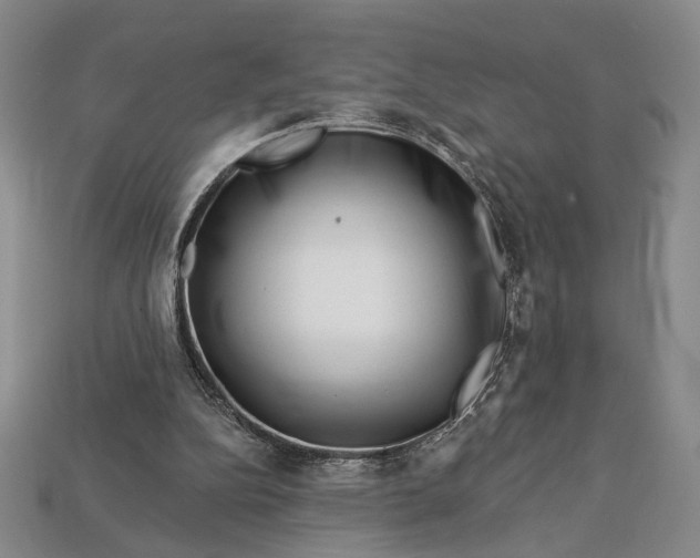 X0000112720152200909101454