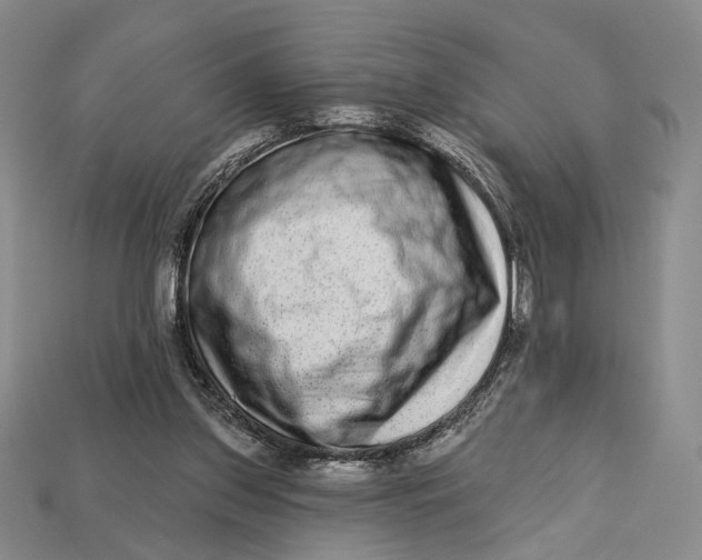 X0000112720157200909101454