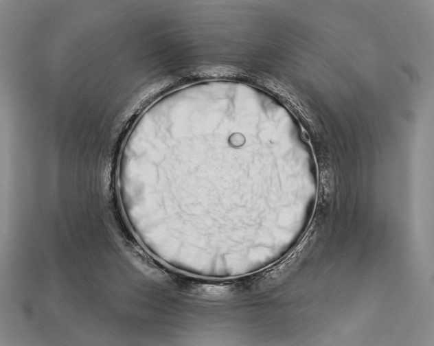 X0000112720159200909101454