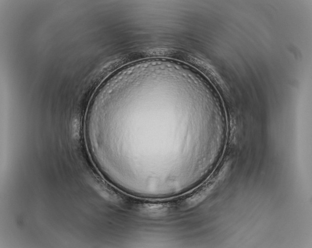 X0000112720161200909101454