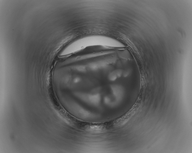 X0000112720163200909101454