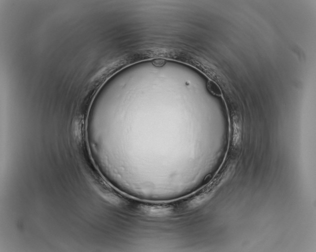 X0000112720165200909101454