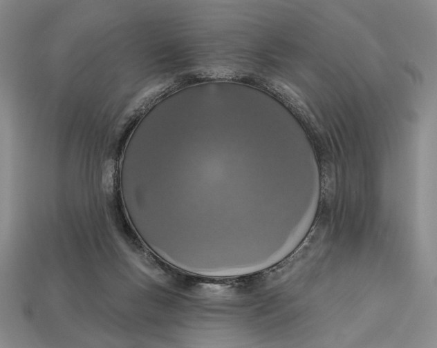 X0000112720167200909101454